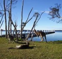 Waterfront Retreat At Wattle Point - Accommodation in Surfers Paradise
