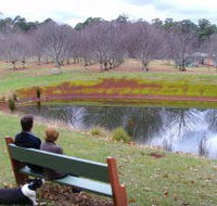 Chestnut Glade