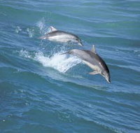 Seachange - Accommodation in Surfers Paradise