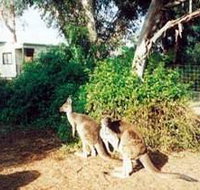 Avoca Dell Caravan Park - Accommodation in Surfers Paradise