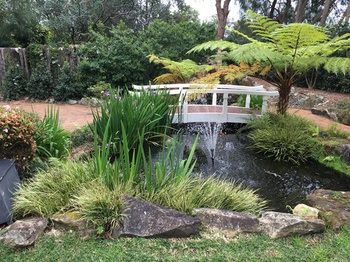 Checkers Resort & Conference Centre - Accommodation in Surfers Paradise 20