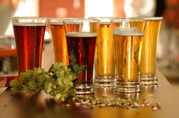 Potters Hotel Brewery Resort - Accommodation in Surfers Paradise 12