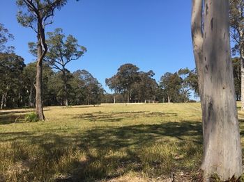 Worrowing At Jervis Bay - Accommodation in Surfers Paradise 81