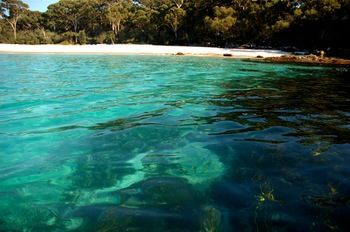 Worrowing At Jervis Bay - Accommodation in Surfers Paradise 98