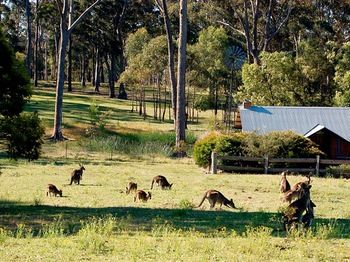 Worrowing At Jervis Bay - Accommodation in Surfers Paradise 101