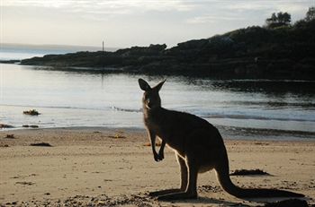 Worrowing At Jervis Bay - Accommodation in Surfers Paradise 35