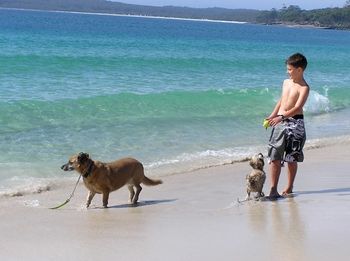 Paradise Bungalow - Accommodation in Surfers Paradise 19