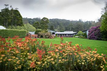 CountryPlace - Accommodation in Surfers Paradise 8