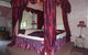 Casuarina Estate - thumb 12