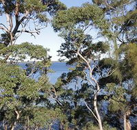 The Edgewater Bed amp Breakfast - Accommodation in Surfers Paradise