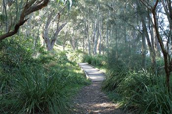 The Edgewater Bed & Breakfast - Accommodation in Surfers Paradise 21