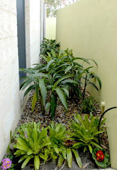 By The Beach B&B And Apartments - Accommodation in Surfers Paradise 5
