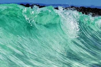 Bella Villas Of Jervis Bay - Accommodation in Surfers Paradise 10