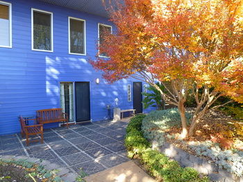 The Retreat At Froog-Moore Park - Accommodation in Surfers Paradise 1