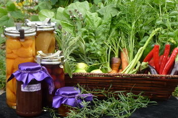 The Retreat At Froog-Moore Park - Accommodation in Surfers Paradise 21