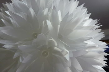 The Retreat At Froog-Moore Park - Accommodation in Surfers Paradise 24