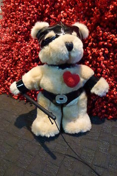 The Retreat At Froog-Moore Park - Accommodation in Surfers Paradise 30