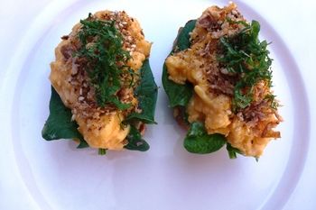 The Retreat At Froog-Moore Park - Accommodation in Surfers Paradise 35