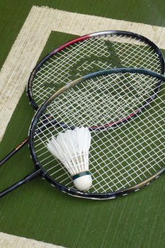 The Retreat At Froog-Moore Park - Accommodation in Surfers Paradise 42