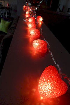 The Retreat At Froog-Moore Park - Accommodation in Surfers Paradise 45