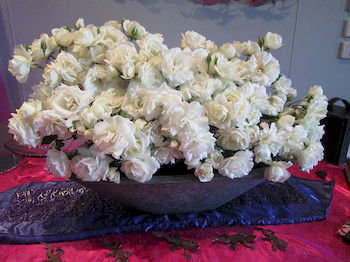 The Retreat At Froog-Moore Park - Accommodation in Surfers Paradise 47