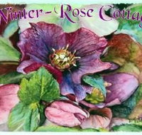 A Winter-rose Cottage BampB - Accommodation in Surfers Paradise