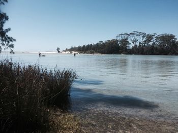 Huskisson Beach Bed And Breakfast - Accommodation in Surfers Paradise 1