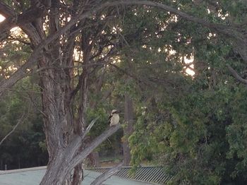 Huskisson Beach Bed And Breakfast - Accommodation in Surfers Paradise 7