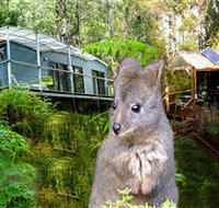 Huon Bush Retreats