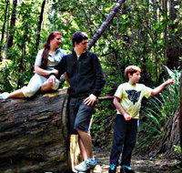 Tahune Airwalk Lodge