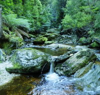 Tarkine Wilderness Experience at Corinna - Accommodation in Surfers Paradise