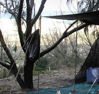 Main Beach Foreshore Camping Grounds - Accommodation in Surfers Paradise