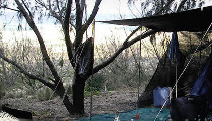 Main Beach Foreshore Camping Grounds - Accommodation in Surfers Paradise 0