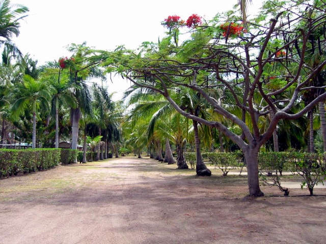 Alva QLD Accommodation in Surfers Paradise