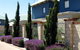 Amalfi Resort - thumb 1