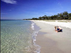 Amalfi Resort - Accommodation in Surfers Paradise 4