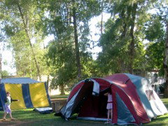 BIG4 Forbes Holiday Park - Accommodation in Surfers Paradise 2