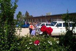 Boerbuck Country Motel & Host Farm - Accommodation in Surfers Paradise 0