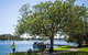 Colonial Tweed Holiday & Home Park - thumb 2