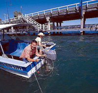Comfort Inn Mandurah - Accommodation in Surfers Paradise