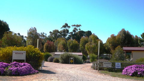 Gladstone Caravan Park - Accommodation in Surfers Paradise 6