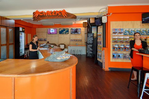 Chillis Backpackers - Accommodation in Surfers Paradise 7