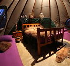 Aranyani Bison Adventure Tourist Park - Accommodation in Surfers Paradise