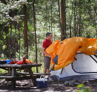 Bald Rock campground and picnic area - Accommodation in Surfers Paradise