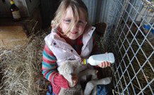 Barcoos Farmstays Bathurst - Accommodation in Surfers Paradise 0