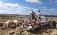 Barcoos Farmstays Bathurst - Accommodation in Surfers Paradise 1