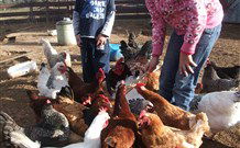 Barcoos Farmstays Bathurst - Accommodation in Surfers Paradise 5