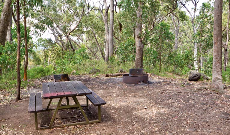Kaputar NSW Accommodation in Surfers Paradise