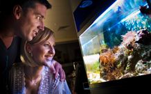 BIG4 Northstar Holiday Resort And Caravan Park - Accommodation in Surfers Paradise 4