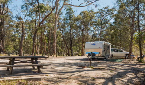 Cypress-pine Campground - Accommodation in Surfers Paradise 1